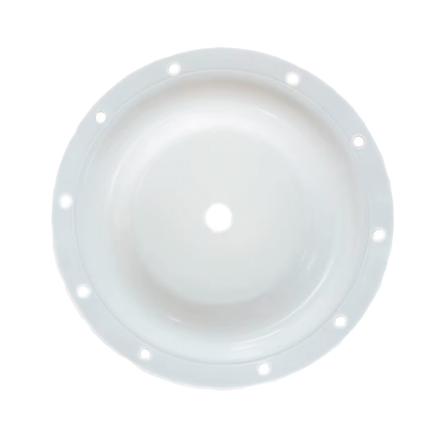 Diaphragm for ARO Diaphragm Pump - PTFE - 96476-T