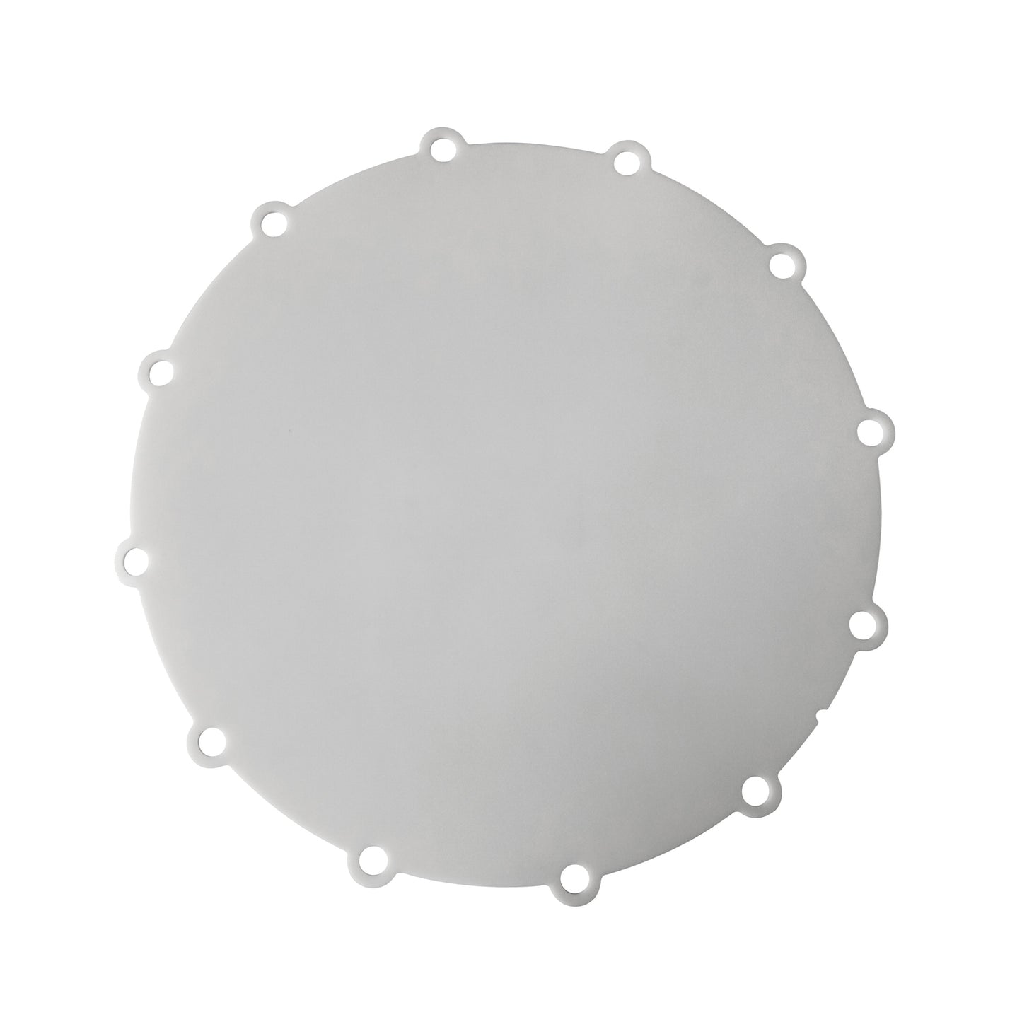 Diaphragm for SANDPIPER Diaphragm Pump - PTFE - 286-017-604