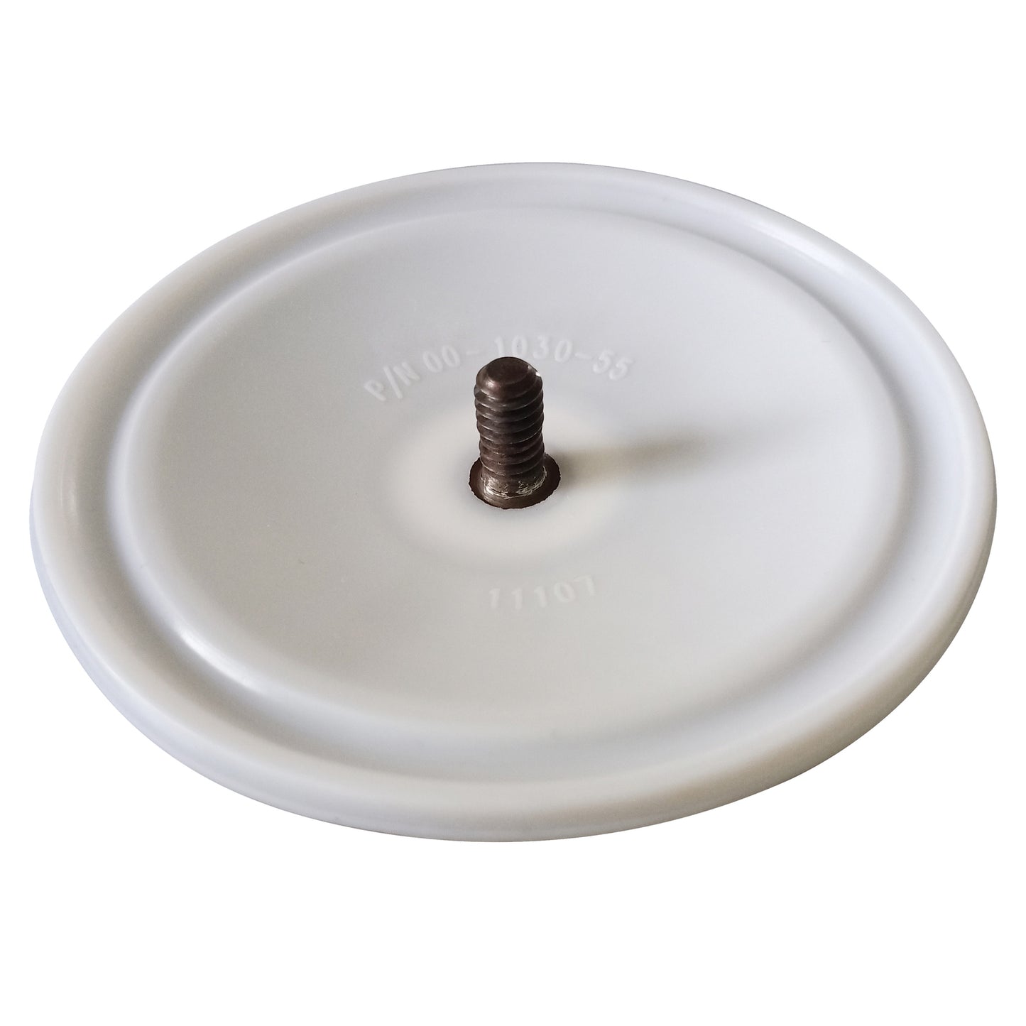 Diaphragm for WILDEN Diaphragm Pump - PTFE - 00-1030-55