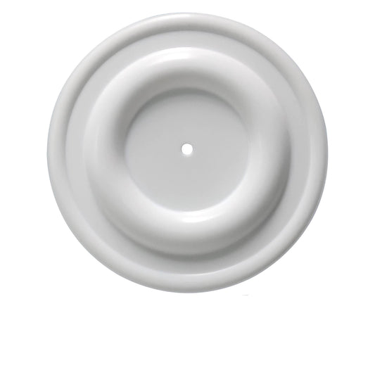 Diaphragm for ALL-FLO Diaphragm Pump - PTFE - 11406-59