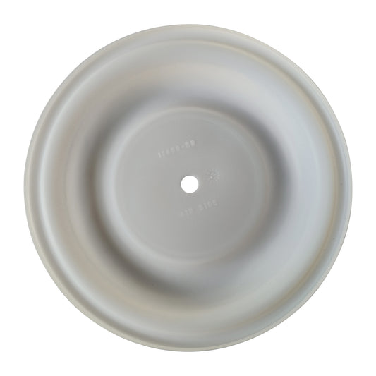 Diaphragm for ALL-FLO Diaphragm Pump - PTFE - 11409-59