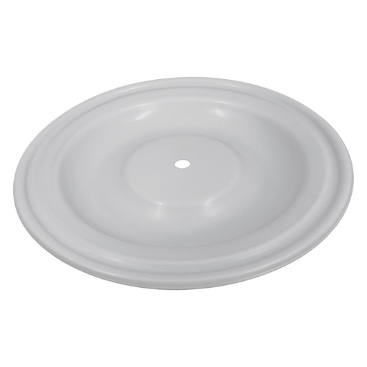 Diaphragm for ALMATEC Diaphragm Pump - PTFE - V163TF