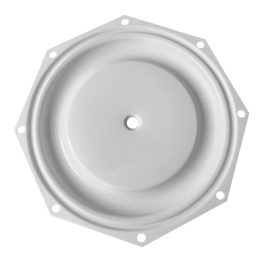 Diaphragm for ARO Diaphragm Pump - PTFE - 94355-T
