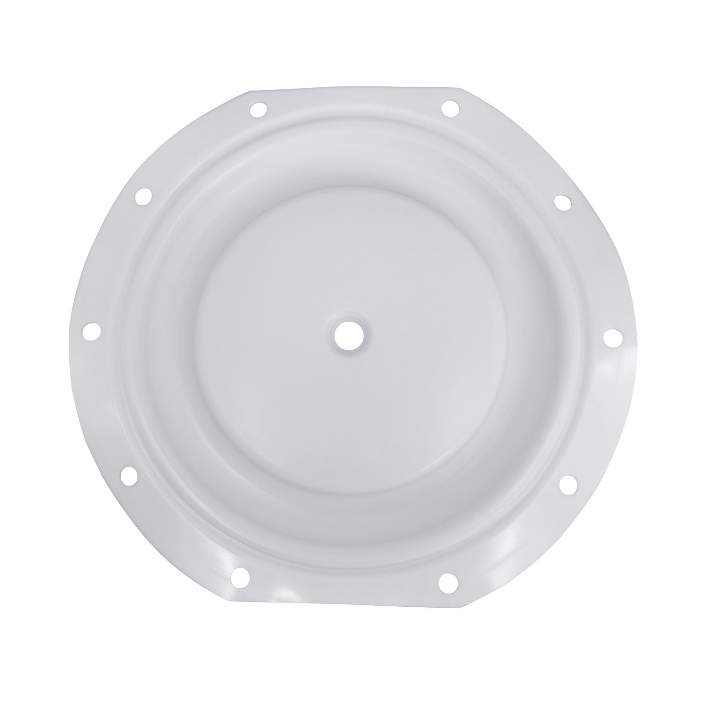 Diaphragm for ARO Diaphragm Pump - PTFE - 96165-T