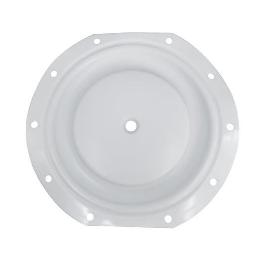 Diaphragm for ARO Diaphragm Pump - PTFE - 96165-T