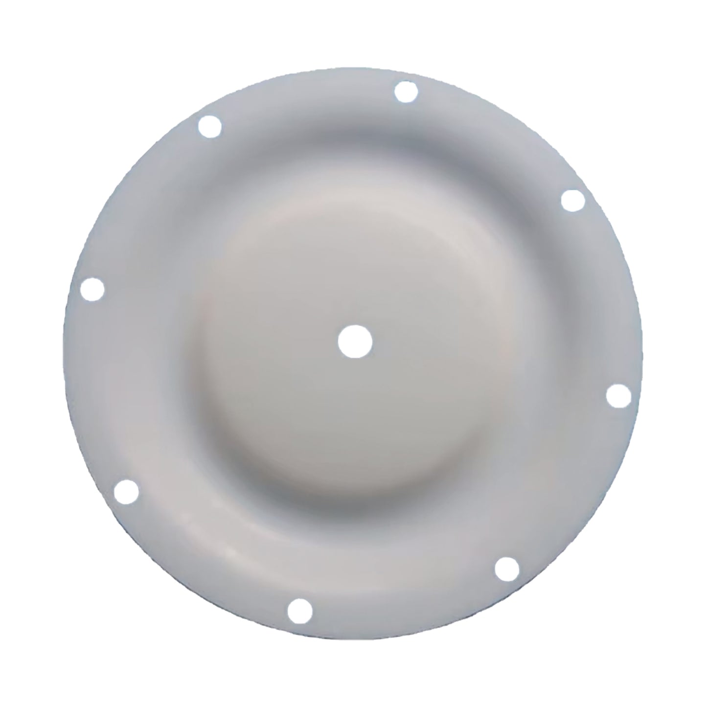 Diaphragm for SANDPIPER Diaphragm Pump - PTFE - 286.099.600